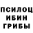 Псилоцибиновые грибы мухоморы Xotamov Fayzi