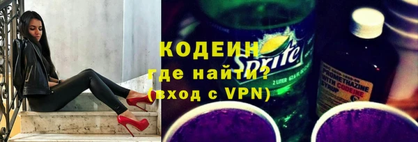индика Пестово