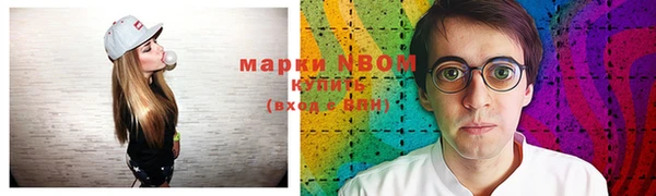 индика Пестово