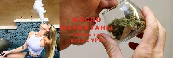 индика Пестово