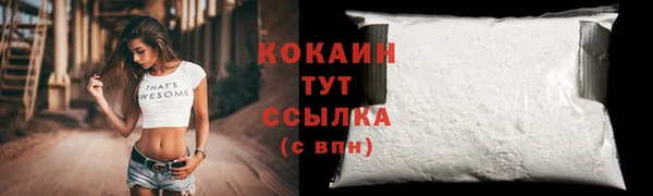 индика Пестово