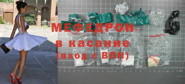 индика Пестово