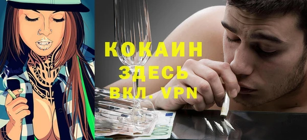 индика Пестово