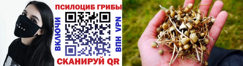 Галлюциногенные грибы GOLDEN TEACHER  KRAKEN ссылка  Сим 